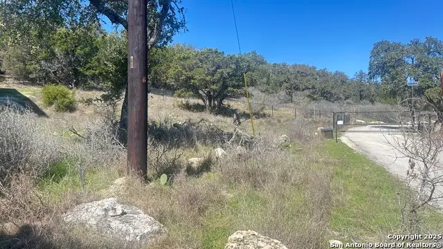 1395 Overbrook Ln, Spring Branch, TX 78070 - #2