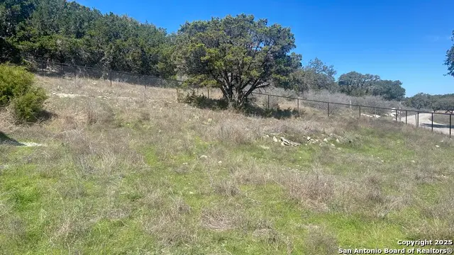 1395 Overbrook Ln, Spring Branch, TX 78070 - #3