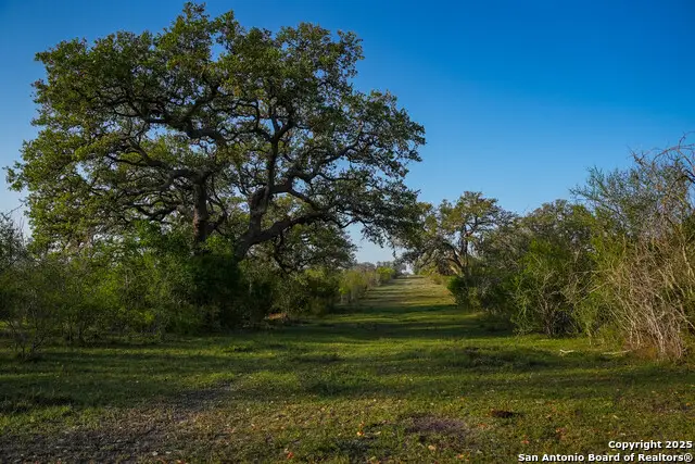 8440 State Highway 239 W, Goliad, TX 77963 - Image #1