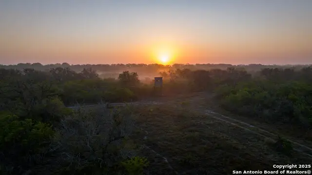 8440 State Highway 239 W, Goliad, TX 77963 - Image #2