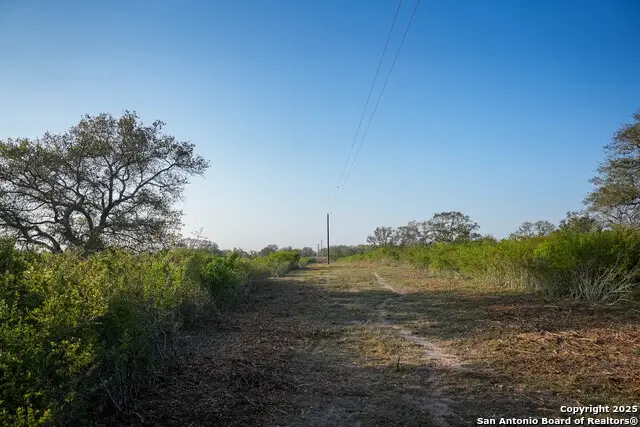 8440 State Highway 239 W, Goliad, TX 77963 - Image #3