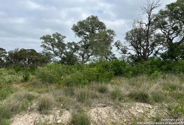 TBD Pr 2771, Mico, TX 78056 - Image #2