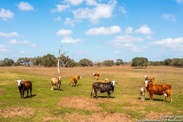 16297 Sh 111, Yoakum, TX 77995 - Image #3