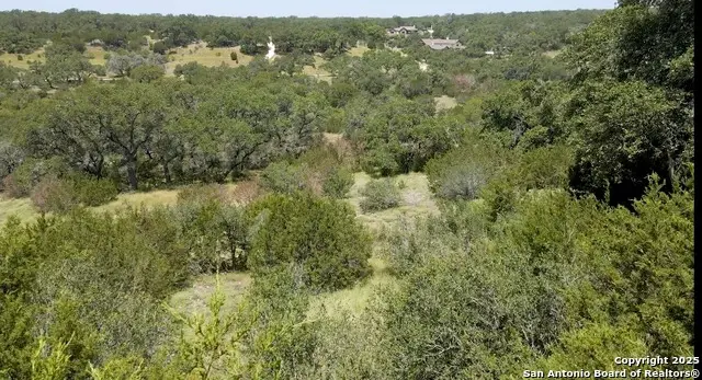 492 Havasu Pt, Spring Branch, TX 78070 - #3
