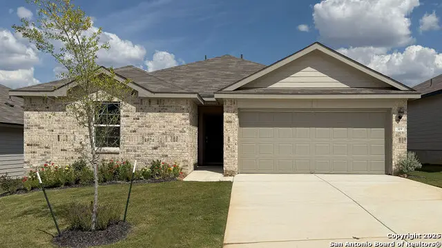 319 Bluetick Trail, Seguin, TX 78155 - #1