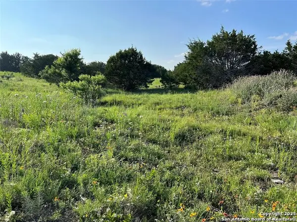 LOT 17 Pr 16020, Jonesboro, TX 76538