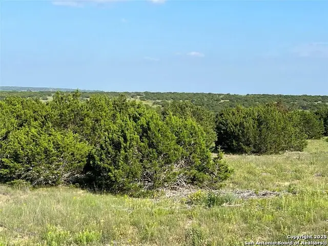 LOT 17 Pr 16020, Jonesboro, TX 76538 - Image #2