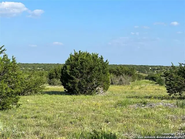 LOT 17 Pr 16020, Jonesboro, TX 76538 - Image #3