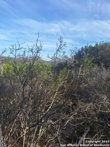 1284 Levi English, Blanco, TX 78606 - Image #1