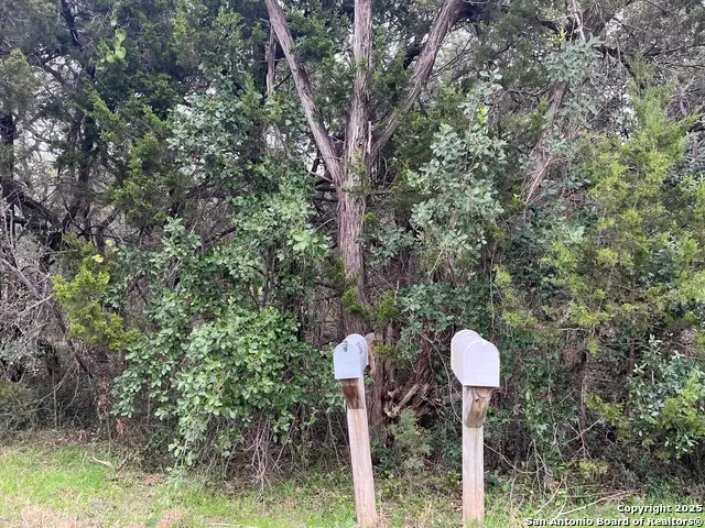 364 Lake Park, Canyon Lake, TX 78133 - #1