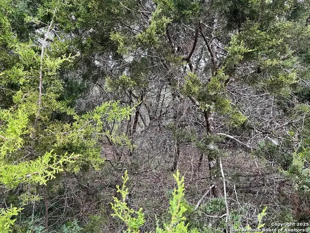 364 Lake Park, Canyon Lake, TX 78133 - #3