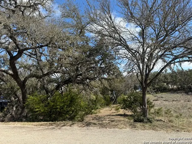 985 Deer Run Pass, Canyon Lake, TX 78133 - #1