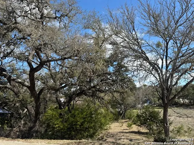 985 Deer Run Pass, Canyon Lake, TX 78133 - #2
