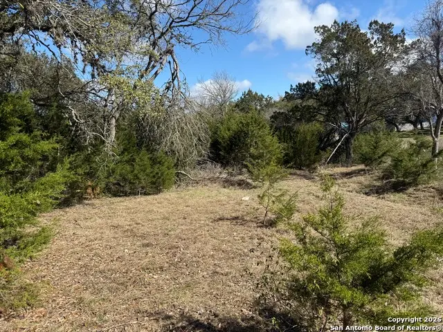 985 Deer Run Pass, Canyon Lake, TX 78133 - #3