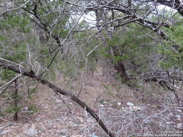 LOT 238-241 Hilltop Loop, Lakehills, TX 78063 - Image #3