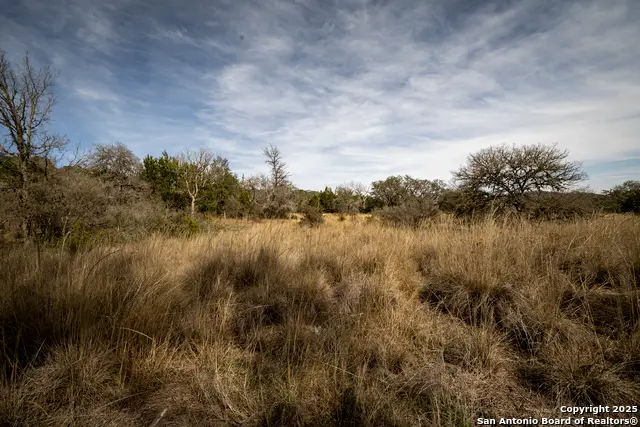 121 N Stieler Valley Ln, Comfort, TX 78013 - Image #2