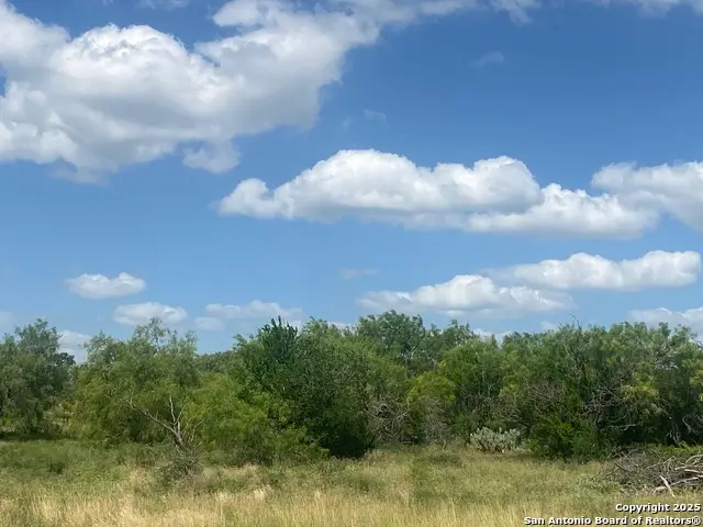 14345 Wisdom, Atascosa, TX 78002 - Image #1