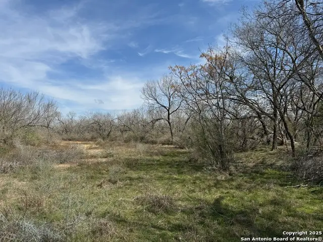 14345 Wisdom, Atascosa, TX 78002 - Image #3