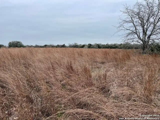 00 Mule Creek Rd, Harwood, TX 78632 - Image #1