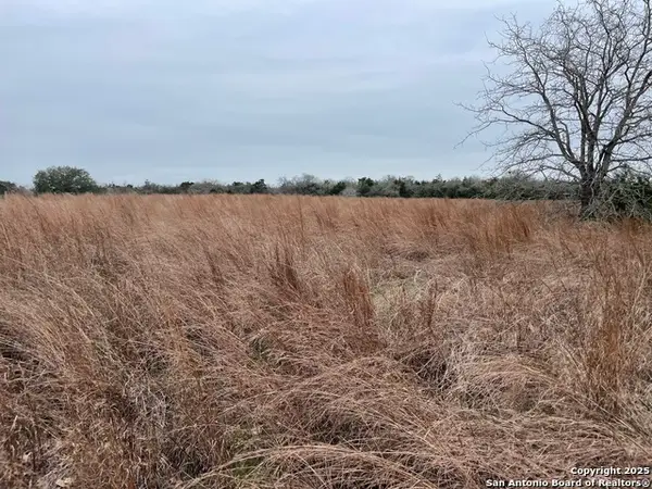 00 Mule Creek Rd, Harwood, TX 78632