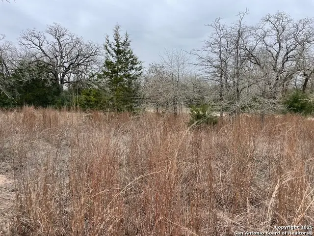 00 Mule Creek Rd, Harwood, TX 78632 - Image #3