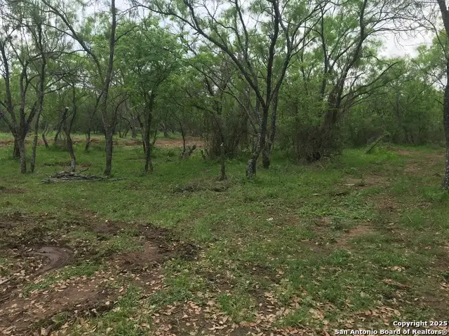 946 County Road 2863, Bigfoot, TX 78005 - Image #2