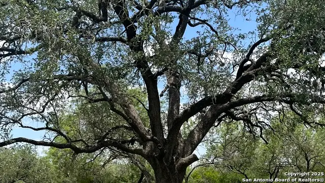 946 County Road 2863, Bigfoot, TX 78005 - Image #3