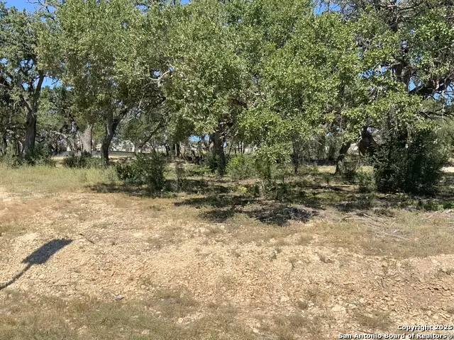 24610 Cliff Line, San Antonio, TX 78257 - Image #1
