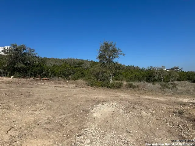 23525 Basse Canyon, San Antonio, TX 78255 - Image #3