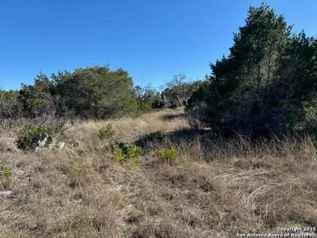 310 N Ringtail Rd, Camp Wood, TX 78833 - Image #1