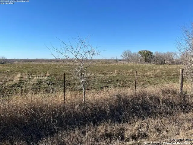 10071 Hackelberg Rd, Atascosa, TX 78002 - Image #1