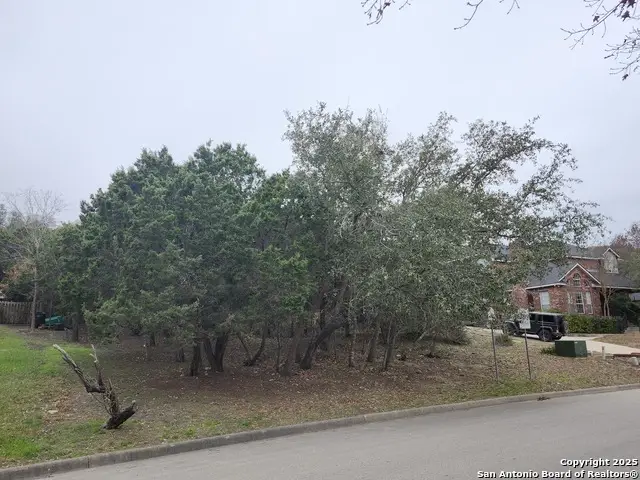 19827 Wittenburg, San Antonio, TX 78256 - Image #2