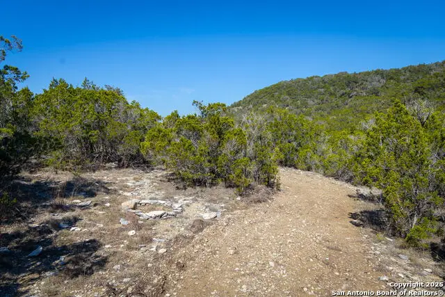 837 Crystal Peak, Fischer, TX 78623 - #3