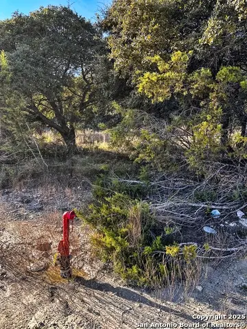 628 Indian Trail, Spring Branch, TX 78070 - #3