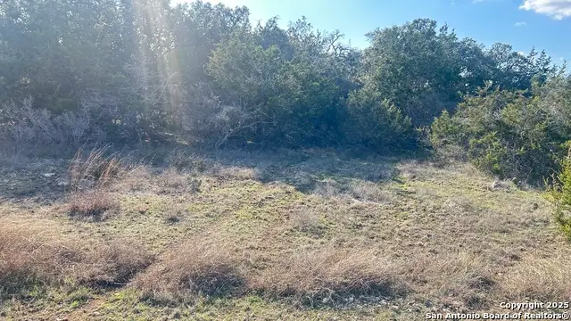 102 S John Bird, Blanco, TX 78606 - Image #2