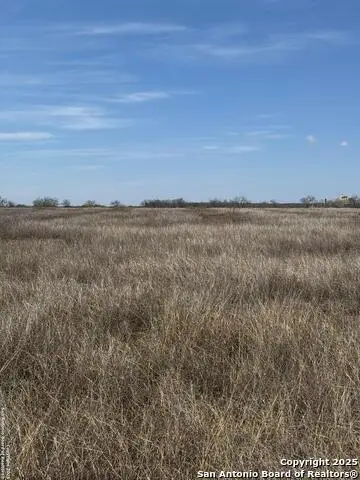 TRACT 1 County Road 422, Pleasanton, TX 78064 - Image #2