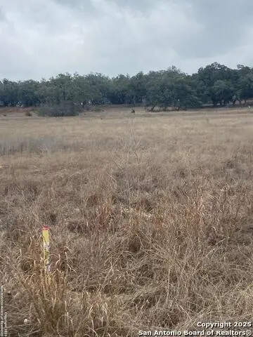 785 Ansley Home, Bulverde, TX 78163 - #2