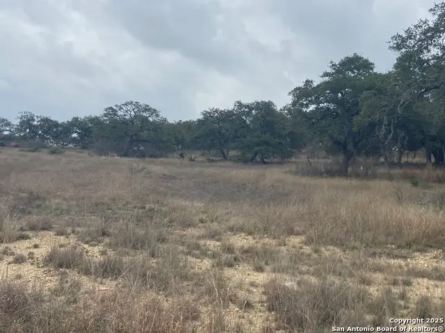785 Ansley Home, Bulverde, TX 78163 - #3