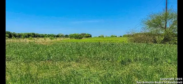 160 N 1st St, Floresville, TX 78114 - Image #3