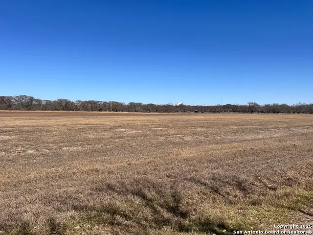 000 OUTLOT 11 Pankratz Road, Comfort, TX 78013 - Image #3
