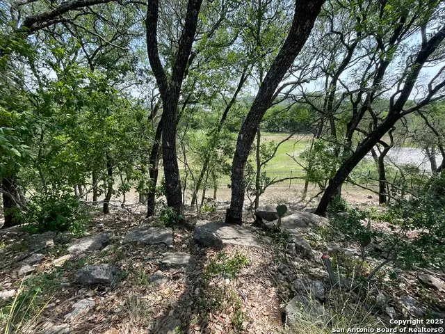 24635 Cliff Line, San Antonio, TX 78257 - Image #3