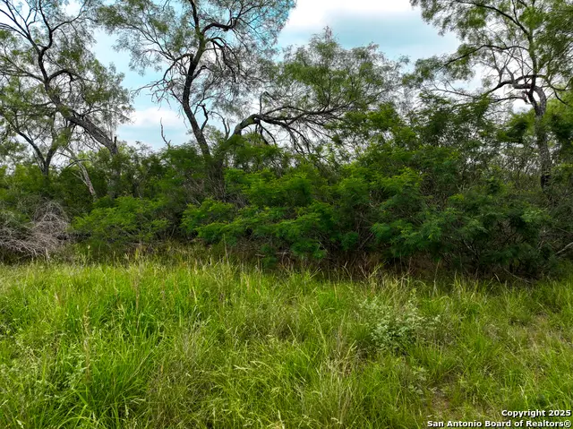 0000 Count Road 5232, D Hanis, TX 78850 - Image #1