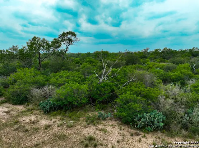 0000 Count Road 5232, D Hanis, TX 78850 - Image #3