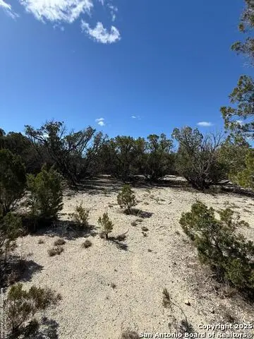 264 Cedar Hill Dr, Bandera, TX 78003 - Image #2