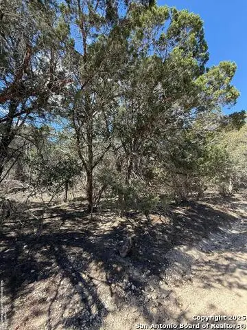 TBD Paladin, Bandera, TX 78003 - Image #1