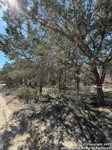 TBD Paladin, Bandera, TX 78003 - Image #2