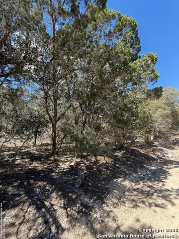 TBD Paladin, Bandera, TX 78003 - Image #3