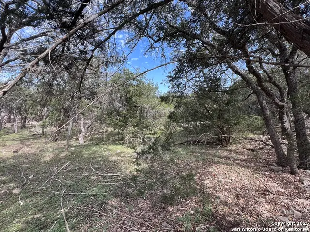 1337 Valley Springs Rd, Spring Branch, TX 78070 - #3