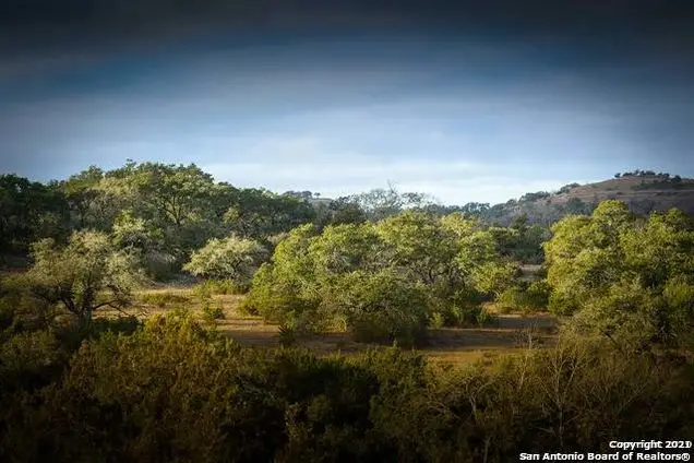 23023 Linwood Ridge, San Antonio, TX 78255 - Image #3