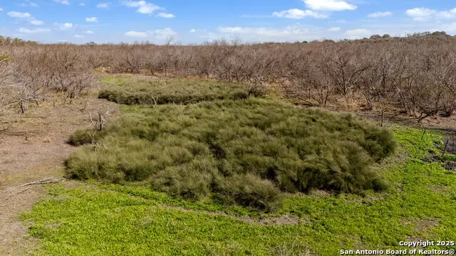 TBD County Road 4516, Hondo, TX 78861 - Image #2
